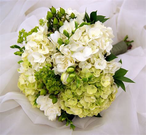 Maybe you would like to learn more about one of these? Metropolitan Plant and Flower Exchange :: Fort Lee, West ...