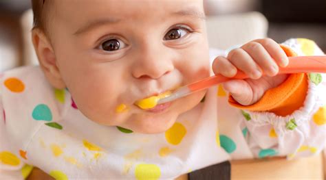 Best Store Bought Baby Foods