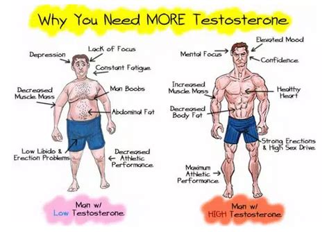 8 Moduri De A Crește Nivelul De Testosteron In Mod Natural Victor