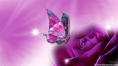 Butterfly Backgrounds Free Wallpaper Cave