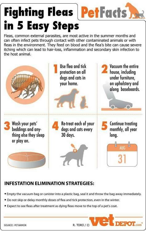 Doginfographic Pet Care Tips Dog Care Pet Tips Dog Infographic