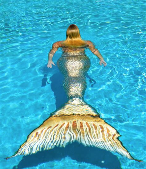 Pin On Mermaids Tails ️ ️