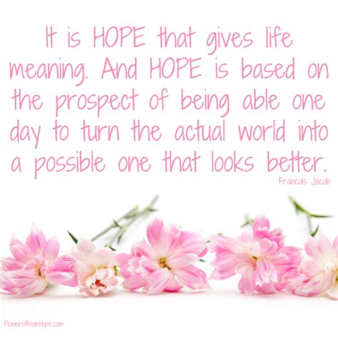 Hope Gives Life Meaning Flowers Bloom Hope