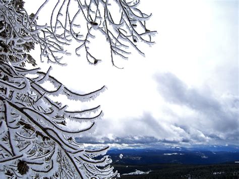 Wallpaper Mountains Water Sky Snow Winter Branch Frost