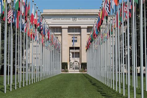 The Upr And Its Role In Enhancing The Work Of The Un Treaty Body System