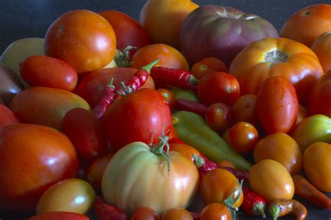 Tomatoes And Peppers Free Stock Photo Freeimages