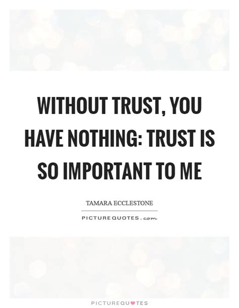 Without Trust You Have Nothing Trust Is So Important To Me Picture