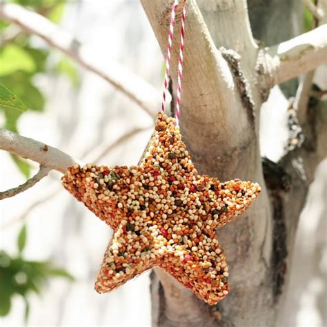 Welcome Spring With These Super Cute Homemade Bird Feeders
