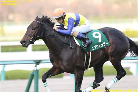 3,484 likes · 46 talking about this · 2,025 were here. 新潟大賞典2020の競馬予想分析!3つのデータから導く危険な人気馬