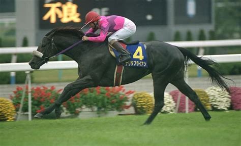 50:20 凡野助三郎 145 654 просмотра. 中央競馬史上5頭目の牡馬クラシック三冠馬ナリタブライアンの ...