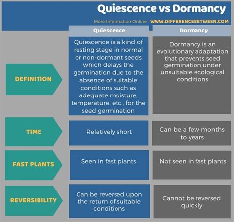Difference Between Quiescence And Dormancy Compare The Difference