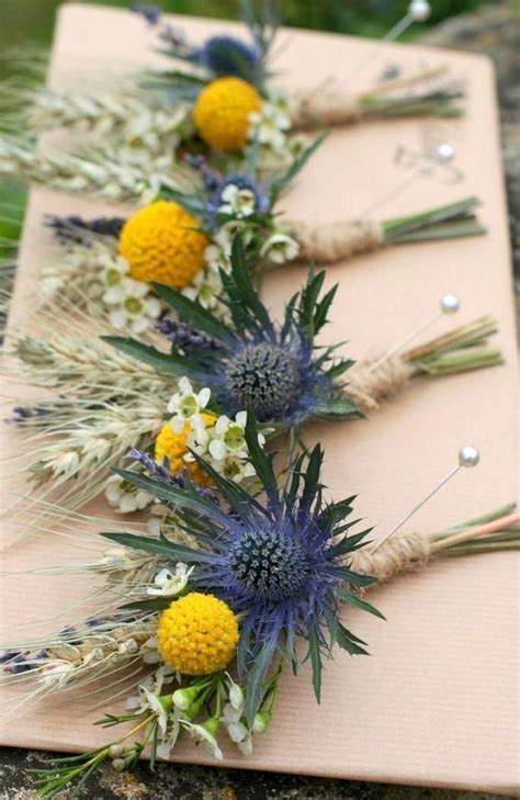 Maybe you would like to learn more about one of these? Sonnenblumen im September - Jo und Toms rustikale Farm ...