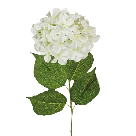 We did not find results for: 17181 - Ramillete 'Promesa de Hortensia' - Home Interiors ...