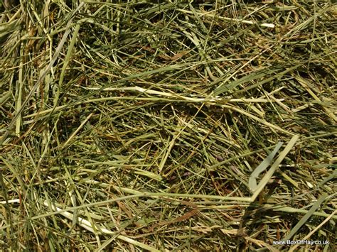 Box Of Farm Fresh Organic Meadow Hay