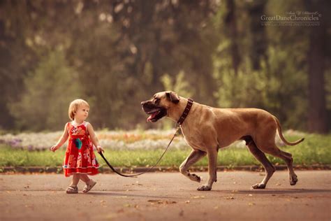 25 Cute Photos Of Big Dogs And Little Kids By Andy Seliverstoff