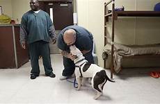 dogs jail dog inmates prison monroe county