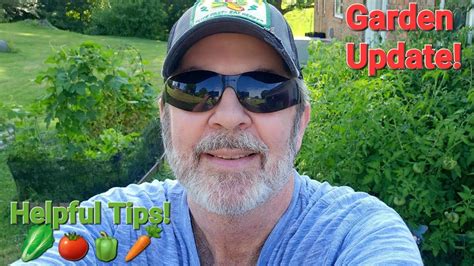 Garden Update! 🍅 Helpful Tips!🫑Grow your own vegetables and beat high