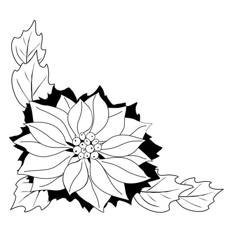 Poinsettia Drawing Outline Free Download On Clipartmag