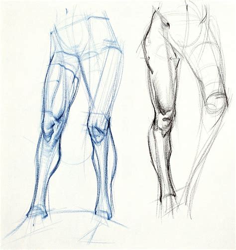 Figuredrawing Info News Additional Leg Examples