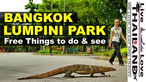 Lumpini Park Bangkok Free Things To Do And See Getaway From Bangkoks