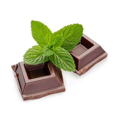 Chocolate Mint Create A Cig