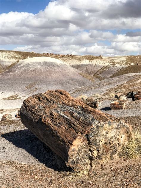 Petrified Forest National Park And The Painted Desert Arizona The