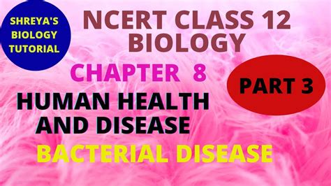 Class 12 Human Health And Disease Part 3 Bacterial Disease Youtube