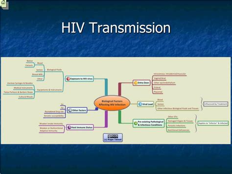 Ppt Hiv Powerpoint Presentation Free Download Id5512232