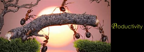 Since our establishment in july 2007, mechmodule technology sdn bhd have been providing excellent services in fabricating precision tooling and mechanical parts for various industries. Raig Technologies (M) Sdn. Bhd.