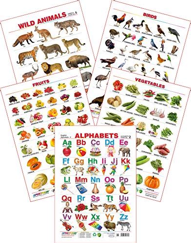 Buy Spectrum Educational Large Wall Charts Set Of 5 Wild Animals