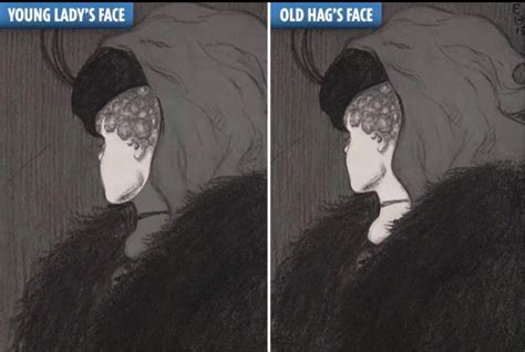 Optical Illusion Do You See An Old Woman Or A Young Lady Small Joys