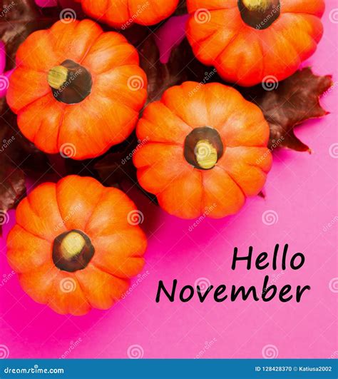 Autumnal Background Text Hello November Stock Photo Image Of Funny