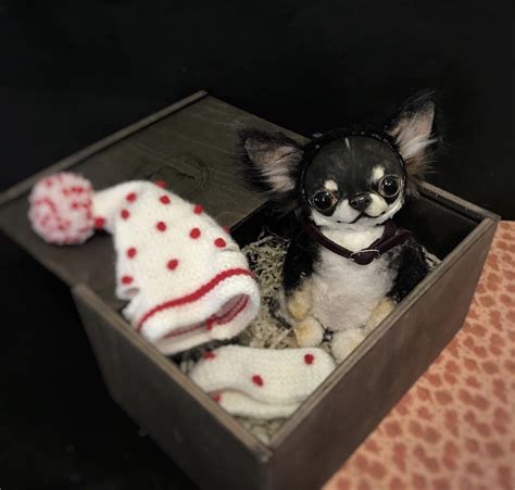 Chihuahua 🐾 ️ чихуахуа собака лепка Chihuahua Teddybear Animals