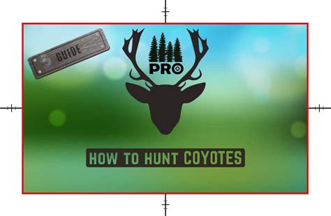 How To Hunt Coyotes All You Need To Know Coyote Hunting Tips