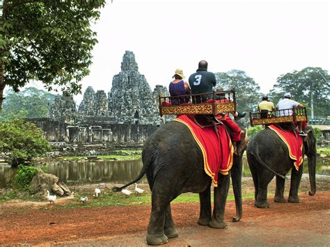I first learned about the elephant and the rider as a metaphor for the human brain and how we make decisions from chip and dan heath in their book switch: Should Elephant Riding Be Banned?