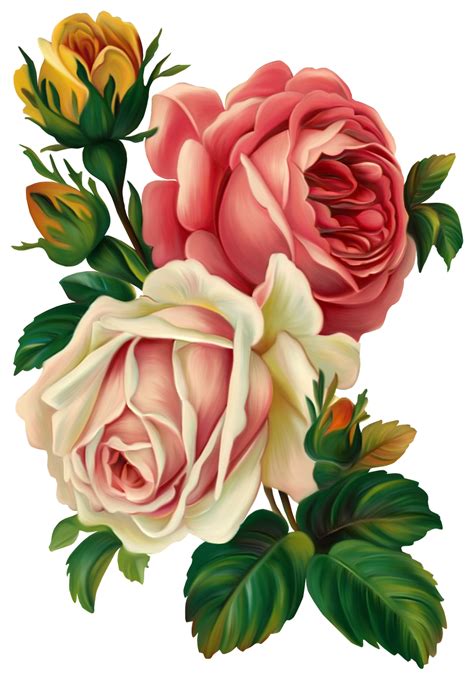 Old Fashioned Rose Clipart Clipground