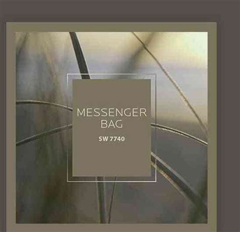 Perfect as a primary or accent colour. Color Of The Year 2021 Sherwin Williams Urbane Bronze SW ...