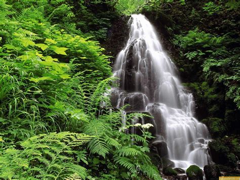 Dia de la fotografia de la naturaleza. NATURALEZA VIVA Y BELLA.