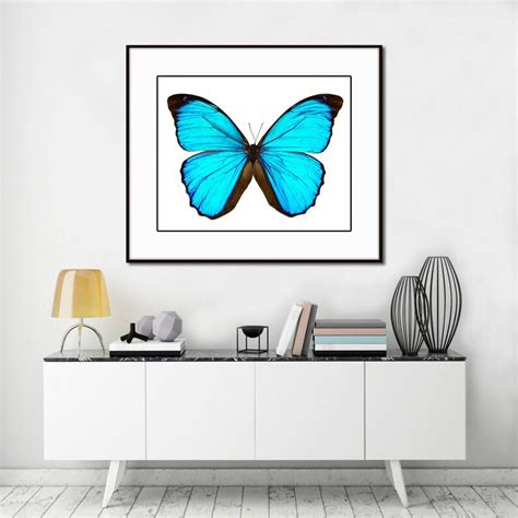 Aqua Butterfly Art Print Nature Art Print Blue Morpho Butterfly