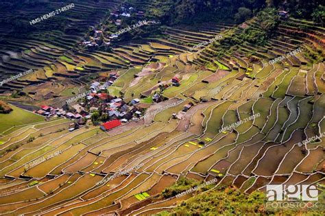 Philippines Luzon Cagayan Valley Ifugao Banaue Batad Foto De