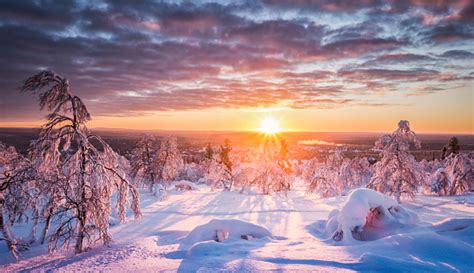 Winter Wonderland In Scandinavia At Sunset Stock Photo Download Image