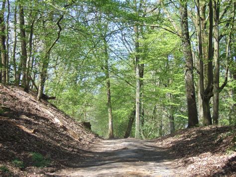 35.00 m 2 | 1 zi. Wanderwege in Bad Orb: die schönsten Touren der Region