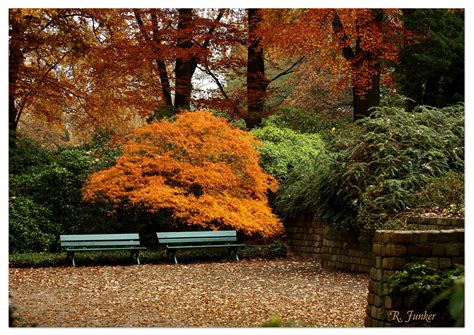 Hier werden etwa 5000 verschiedene taxa kultiviert. Botanischer Garten Bremen im Herbst 1 Foto & Bild ...