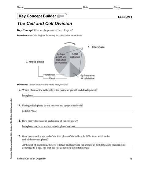 This enhanced visual instructional tool assists in grasping and retaining the names of the cell parts like mitochondrion vacuole talking about pedigree worksheet with answer key below we will see various similar pictures to give you more ideas. Cell Cycle Student Worksheet Answer Key : Cell cycle labeling worksheet answers biology corner.
