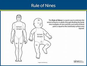 Rules Of Nines Burn Injury Nursing Management Child Nursing College