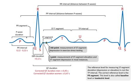 Mnemonics And Ecg Interpretation Basics 2023