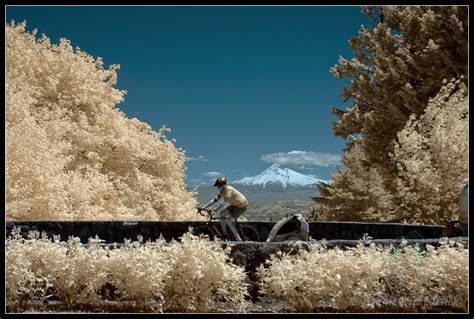 Damn Fresh Pics Excellent Examples Of Infrared Photography