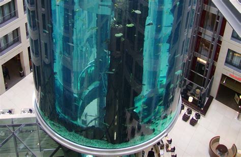 AquaDom aquarium in Berlin with 1,500 fish explodes | blooloop