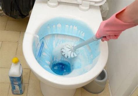 Limpieza Del Inodoro Tarea Ingrata Pero Necesaria Bienestar Higiene