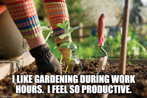 Gardening During Work Imgflip